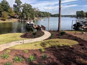 Mulch and plants in the landscape